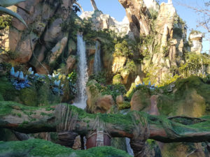 Animal Kingdom - Área de Avatar
