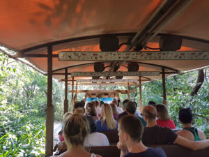 Animal Kingdom - Kilimanjaro Safaris