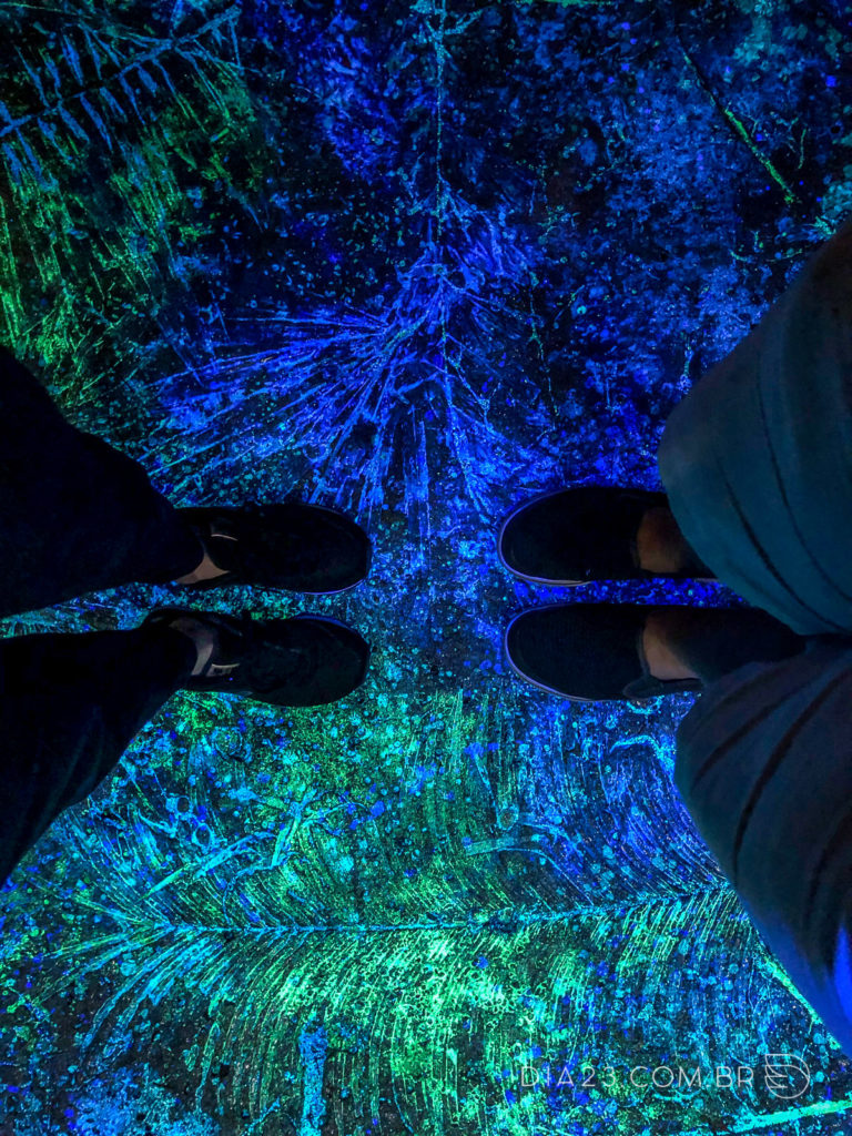 Chão luminoso na área de Pandora no Animal Kingdom