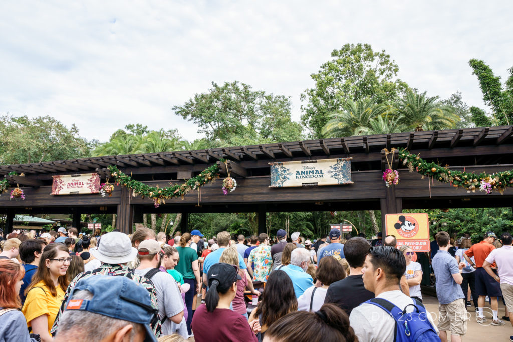 Fila de entrada no Animal Kingdom